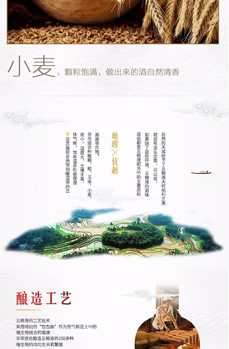 五粮液股份 一尊天下经典浓香型52度粮食酒 礼盒装 500ml*6瓶/ 2瓶