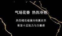 圣罗兰自由之水浓香