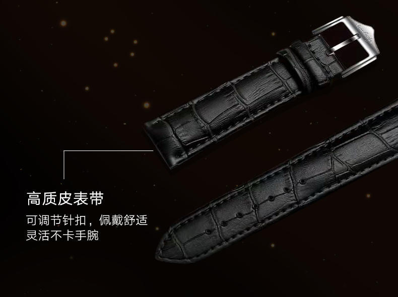 梵高全自动机械男表曜金向日葵系列M-RGLB13
