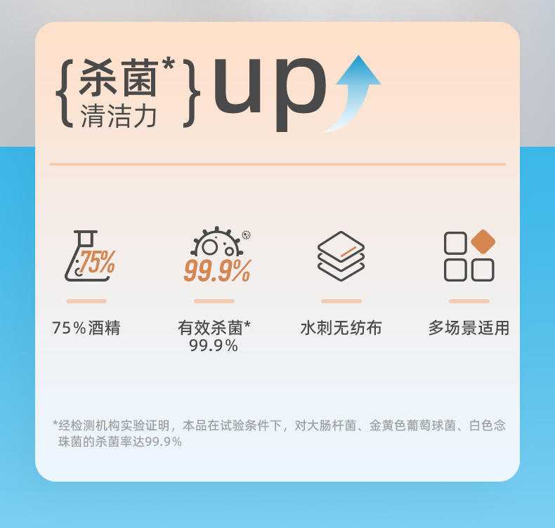 LP-41901-15蓝漂75%酒精湿巾10片15包装