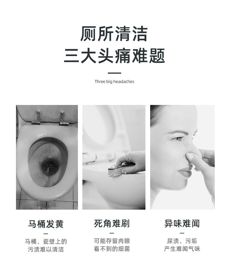 ZYQ-363972竹叶情洁厕王500g