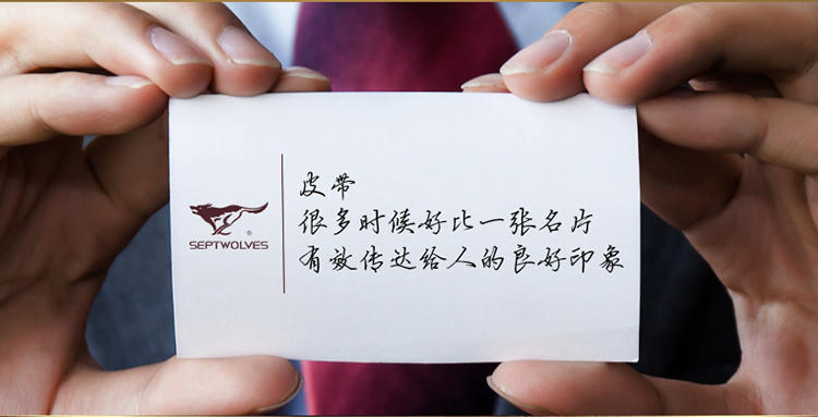 七匹狼皮带7A327130600-1