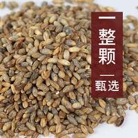 青稞米500克青藏高原特产五谷杂粮代餐粗粮