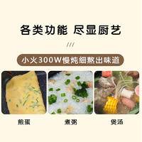 创维电煮锅多功能料理锅 4升F168A