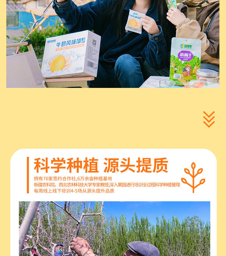 疆果果牛奶风味馕新疆特产牛乳囊早餐食品30g*20袋