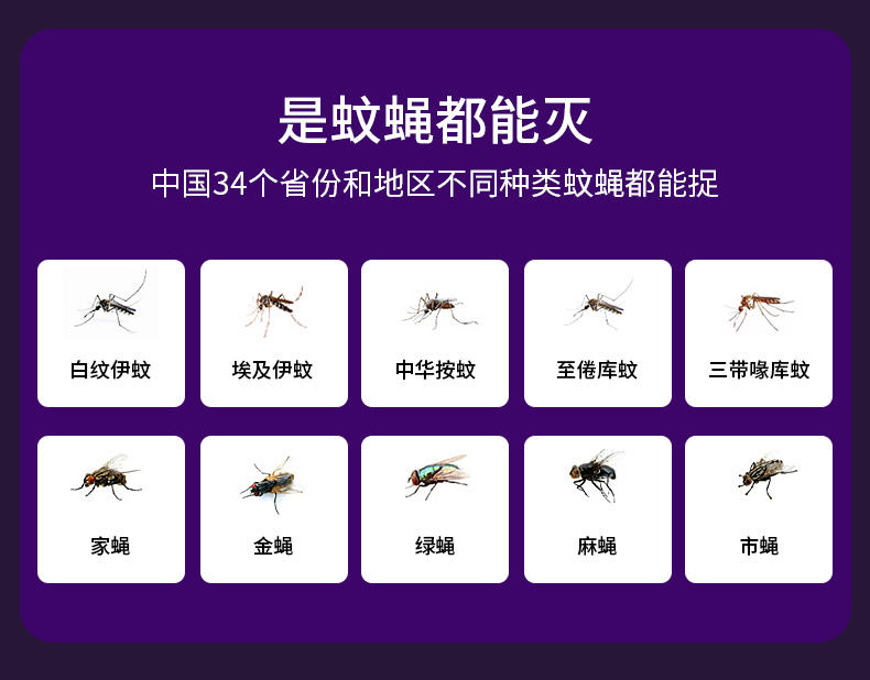 兴航线家用灭蚊灯锦鲤电击驱蚊灯灭蚊器