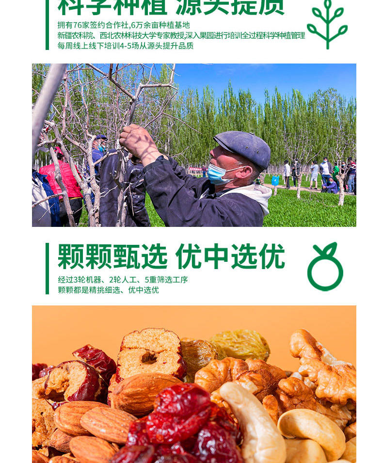 疆果果果真混得好每日坚果混合营养干果仁礼盒小包装送礼600g