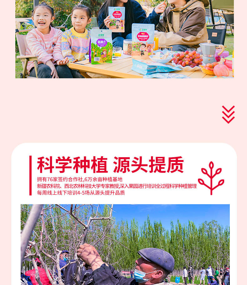 疆果果玫瑰香葡萄干新疆特产休闲零食果干免洗即食260g