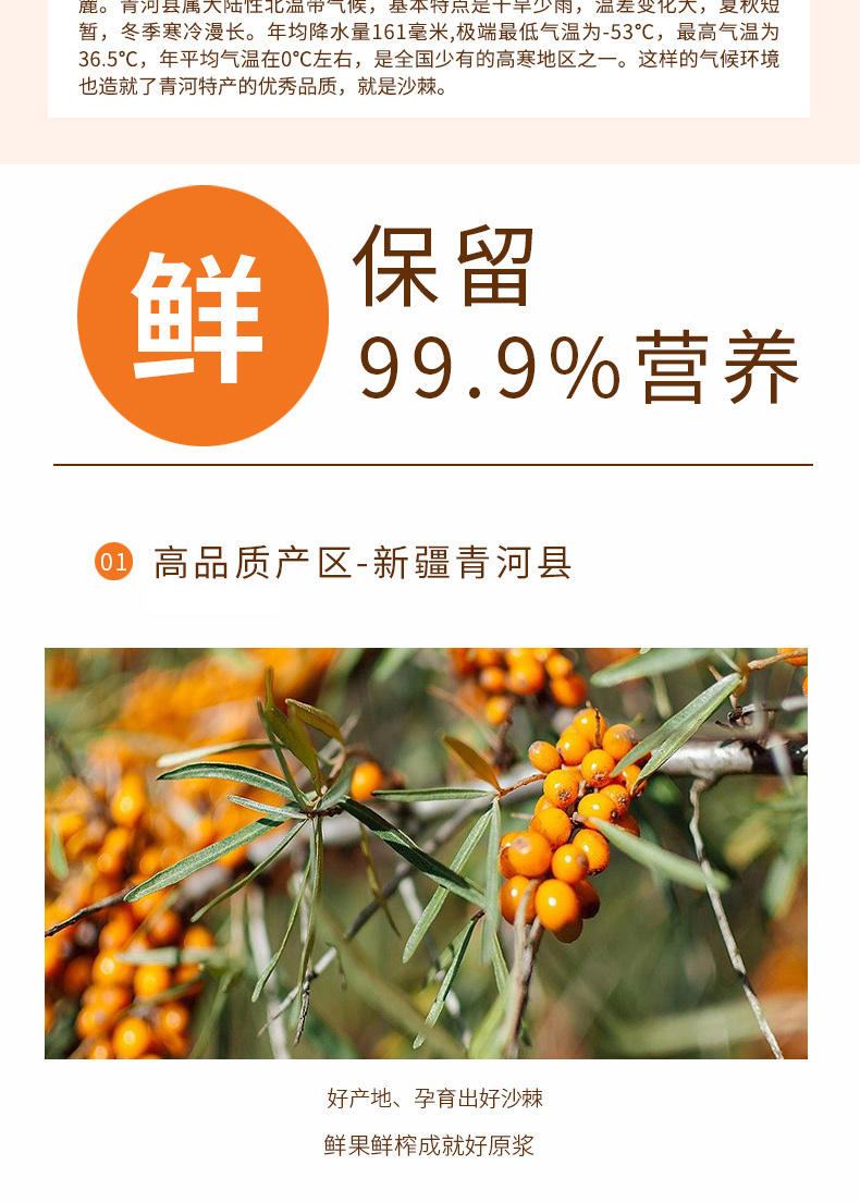 疆果果沙棘原浆新疆鲜果生榨果汁补充维C饮品50mL*8瓶