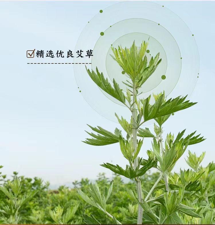 世人有艾艾草驱蚊条家用防蚊艾草 蚊香棒1.8*20cm*10支/盒（不含底座）