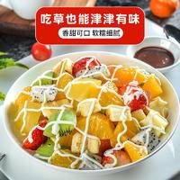 九味佳沙拉酱268g