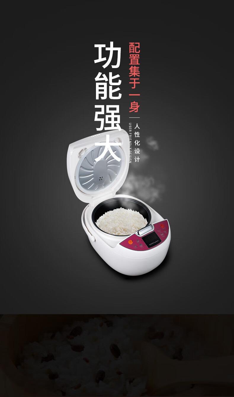 荣事达（Royalstar）860W 功率 4L大容量 微电脑电饭煲 RFB-S4008