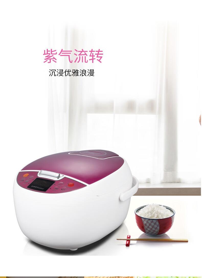 荣事达（Royalstar）860W 功率 4L大容量 微电脑电饭煲 RFB-S4008