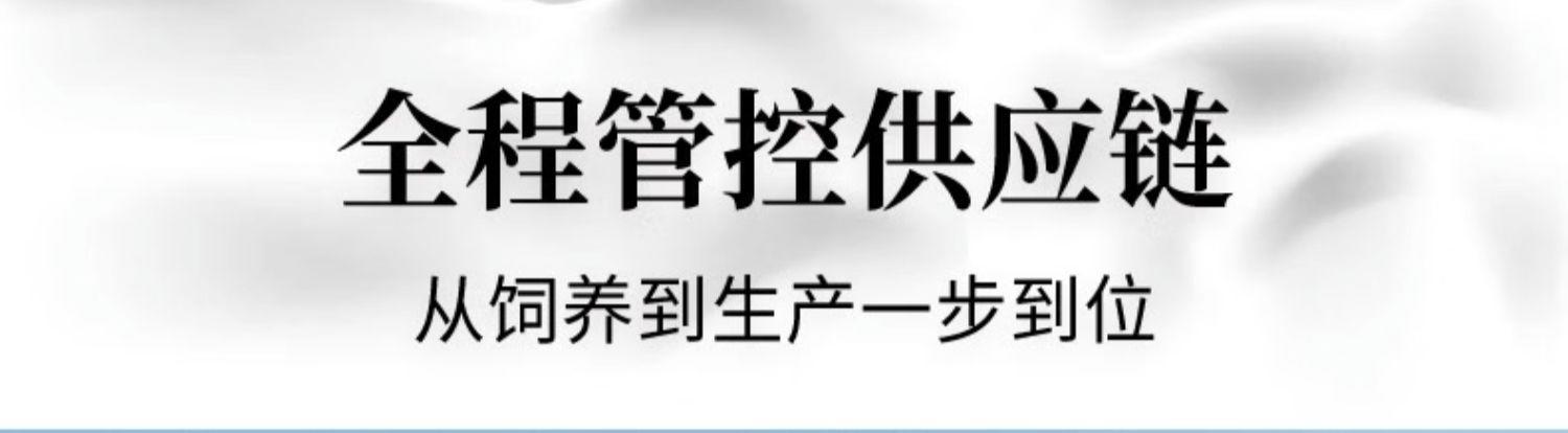 西域春 新疆纯牛奶早餐奶全脂200g*20袋