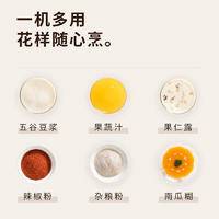 九阳多功能料理机大 容量果蔬榨汁机 L6-L500