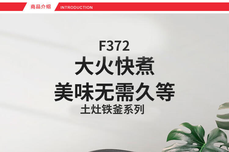 九阳（Joyoung）多功能电磁加热电饭煲F30T-F372(A)