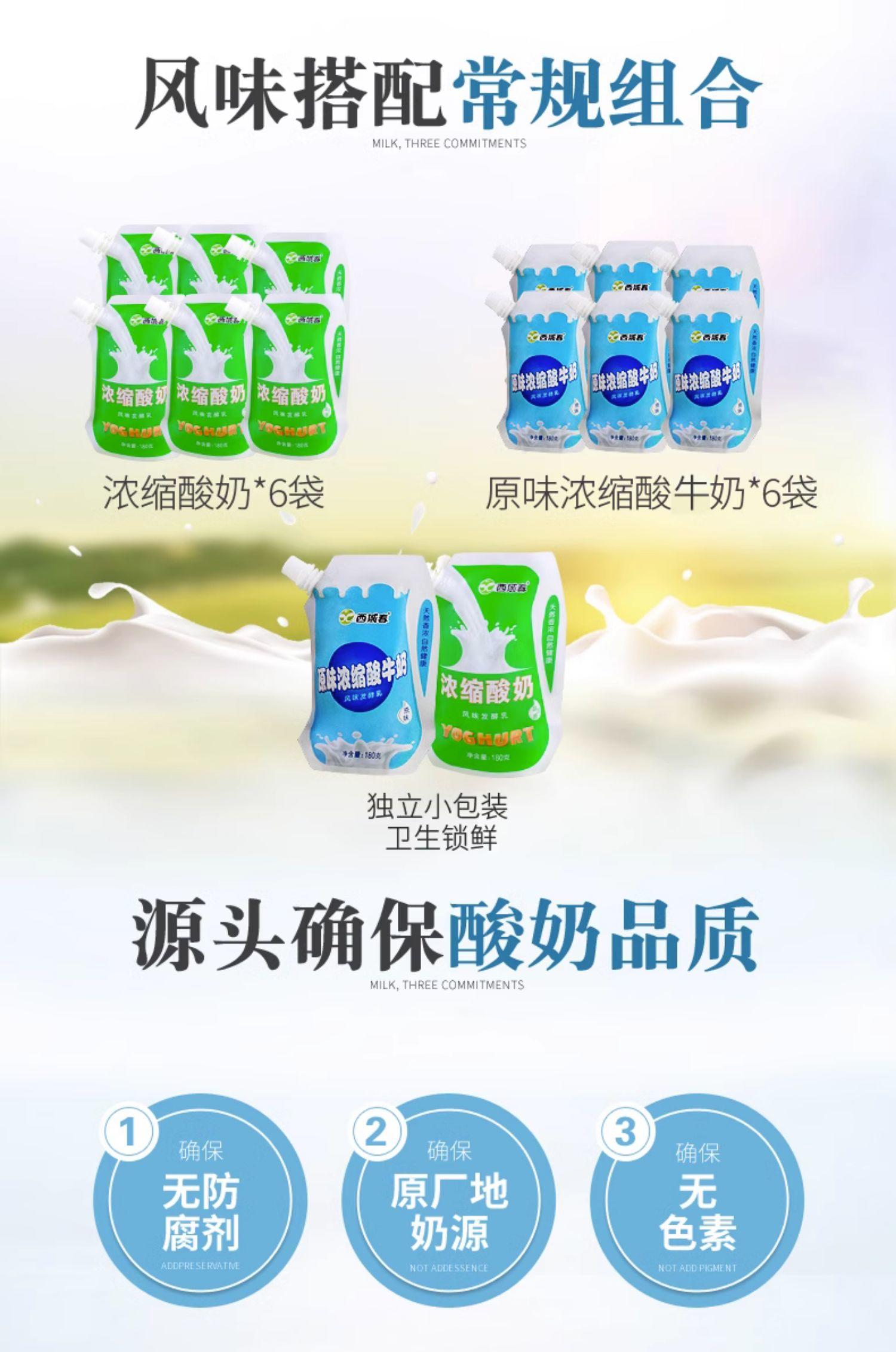 西域春 浓缩益生菌酸牛奶新疆特产低温风味发酵乳