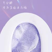 LP-45329蓝漂牌湿厕纸(信封)