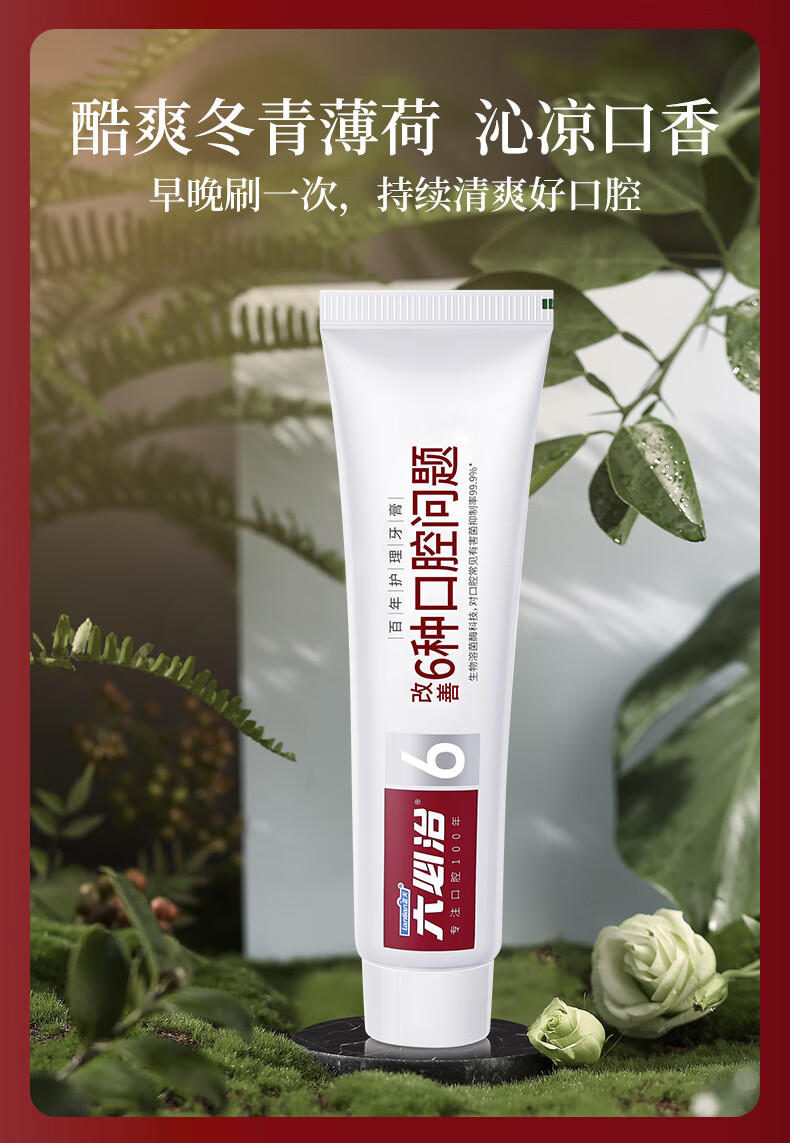 6号六必治百年护理(酷爽冬青薄荷)牙膏100g