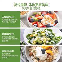 花园 新疆手工酸奶低温风味发酵乳1KG（顺丰空运）