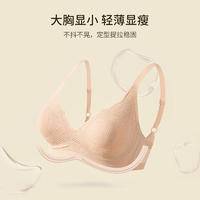 TINSINO纤丝鸟 新款法式蕾丝性感无痕聚拢文胸女士小空调内衣SJ23002