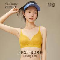 TINSINO纤丝鸟 新款法式蕾丝性感无痕聚拢文胸女士小空调内衣SJ23002