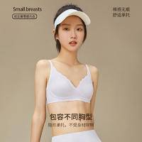 TINSINO纤丝鸟 新款法式蕾丝性感无痕聚拢文胸女士小空调内衣SJ23002