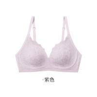 TINSINO纤丝鸟 新款法式蕾丝性感无痕聚拢文胸女士小空调内衣SJ23002