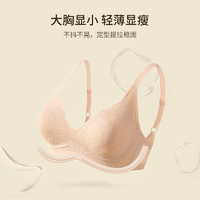TINSINO纤丝鸟 新款法式蕾丝性感无痕聚拢文胸女士小空调内衣SJ23002