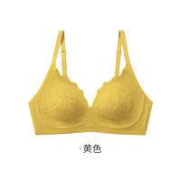 TINSINO纤丝鸟 新款法式蕾丝性感无痕聚拢文胸女士小空调内衣SJ23002