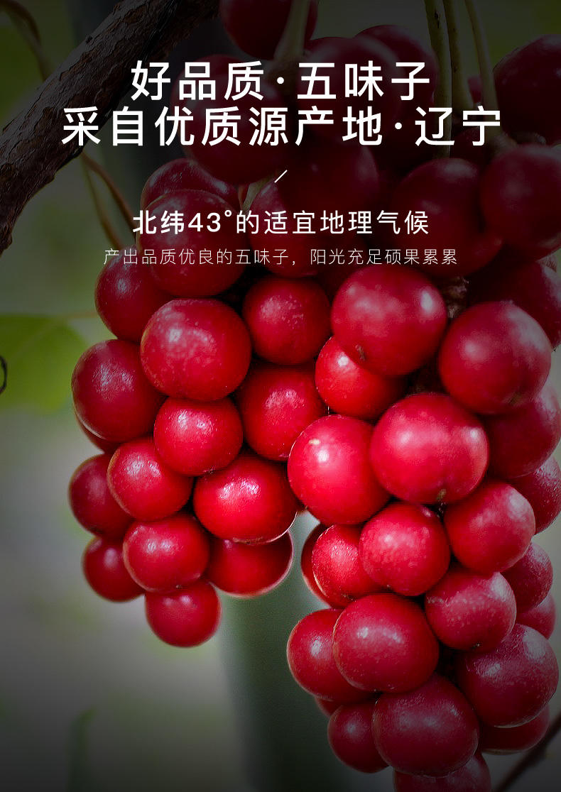 福东海 五味子250g 养生茶泡水礼品 精选北五味子淫羊藿茶搭菟丝子茶