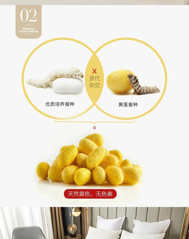 金丝莉 黄金蚕丝被JB-1205