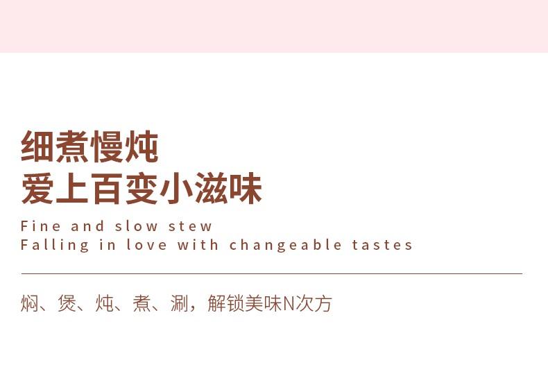 泥火匠 陶瓷家用 小粉耐热汤煲3.5L-适用2-4人
