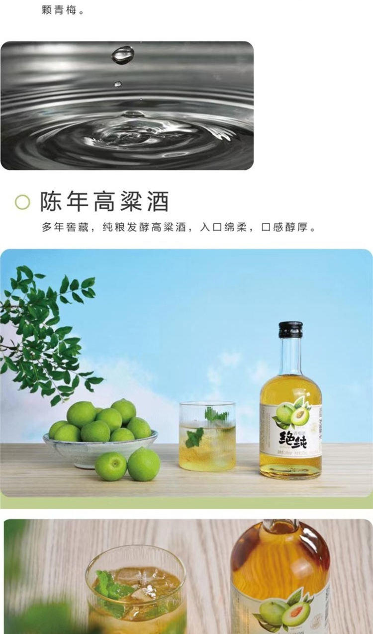 绝纯青梅酒14度果酒梅子酒梅酒375ml