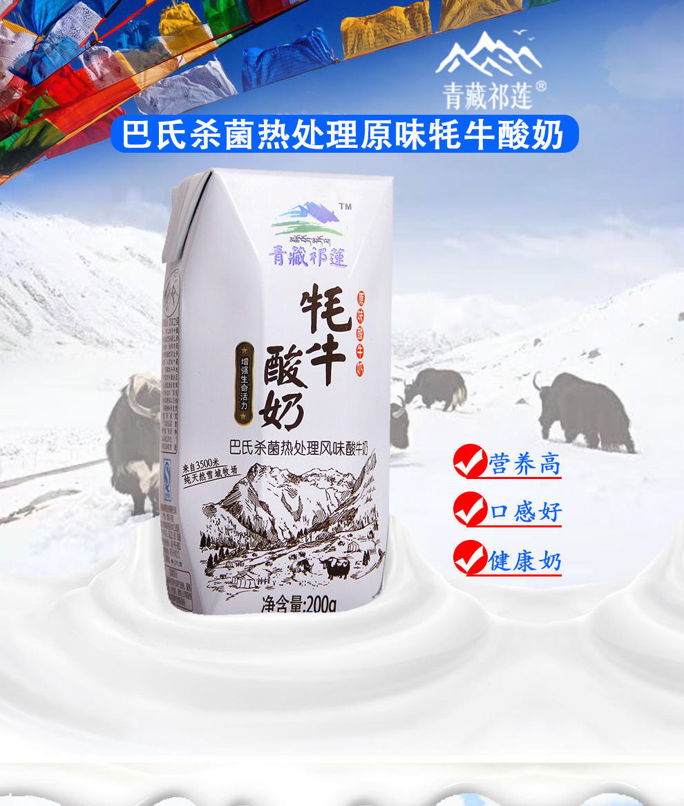 青藏祁莲牦牛原味祁连山酸牛奶200ml*10/提