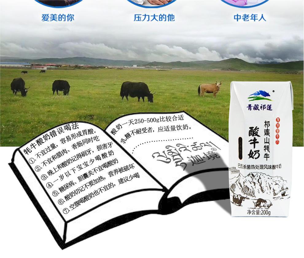 青藏祁莲牦牛原味祁连山酸牛奶200ml*10/提