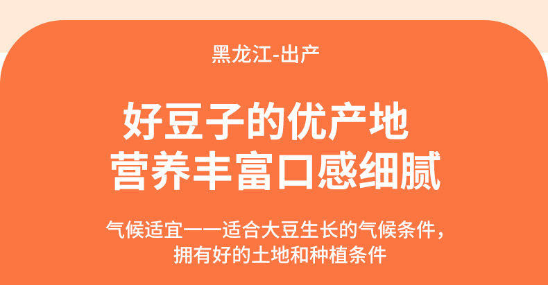 【4包】思乡味超大臭干子麻辣休闲食品辣片400克/包