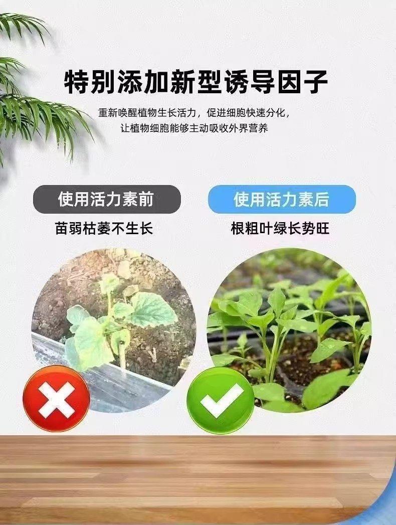 通用型植物活力素