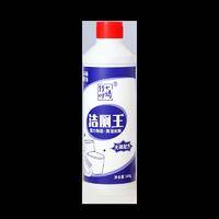 ZYQ-363972竹叶情洁厕王500g