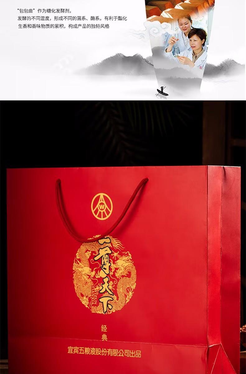 五粮液股份 一尊天下经典浓香型52度粮食酒 礼盒装 500ml*6瓶/ 2瓶