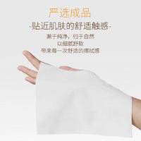 菲亚朵厕纸巾家用原木有芯卷纸20卷/箱 FYDJZ-110-20