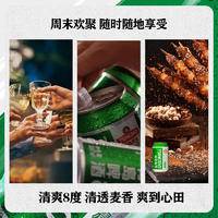 青岛啤酒（TsingTao）清爽8度500ml*24听 整箱装 露营出游