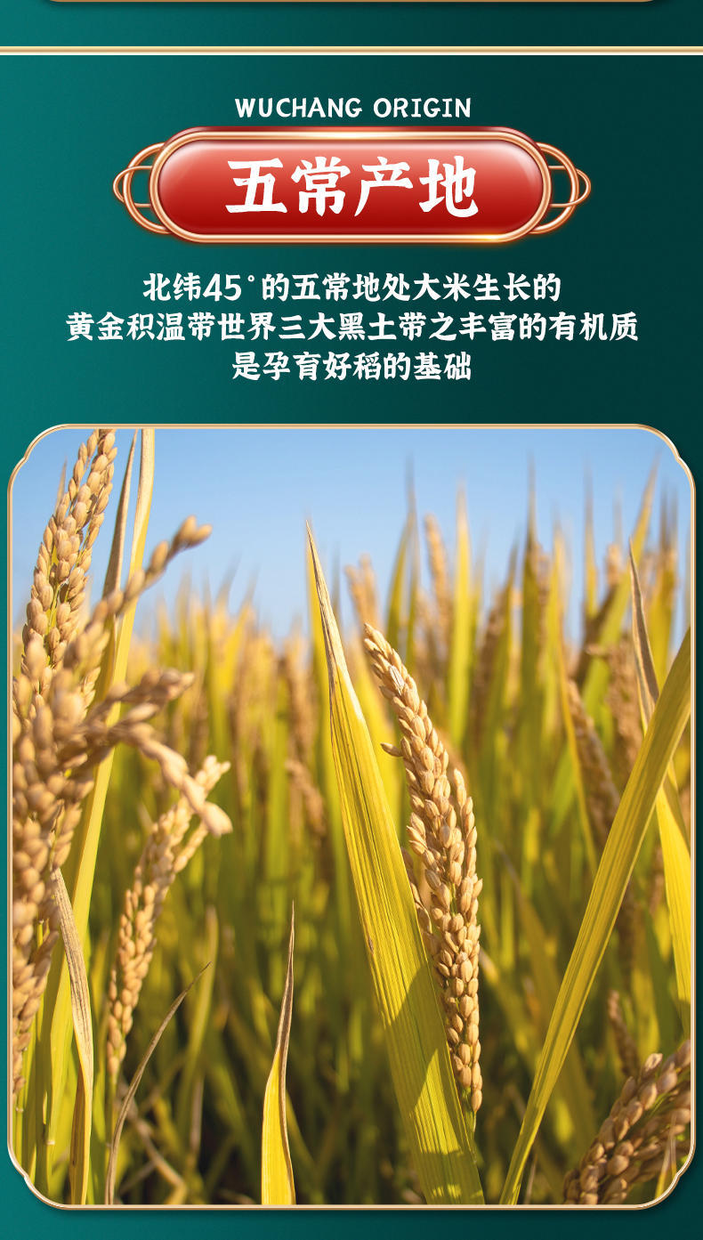 【万顷金禾】DD当季新米东北大米10斤装