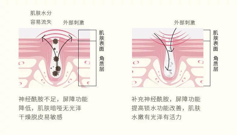 （左香）神经酰胺酵母倍润五件套7