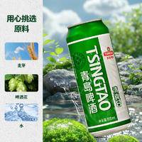 青岛啤酒（TsingTao）清爽8度500ml*24听 整箱装 露营出游