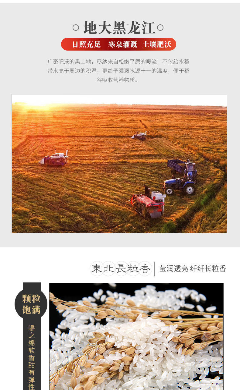 味稻珍真空包装黑龙江长粒香米10斤