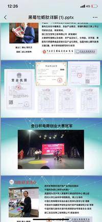 黑莓牧蛎肽