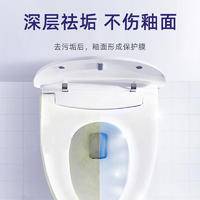 ZYQ-363972竹叶情洁厕王500g