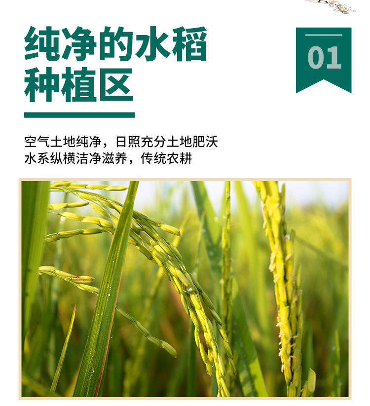 泰金香 金泰湄南 湄南香米 长粒大米 籼米 大米5kg