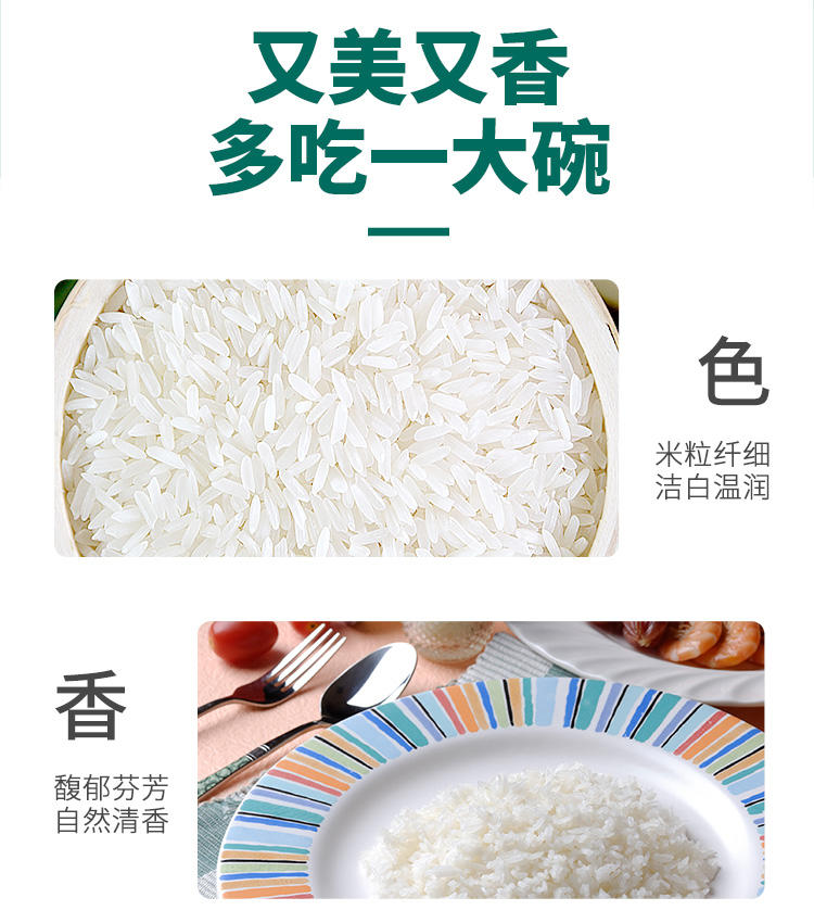 泰金香 金泰湄南 湄南香米 长粒大米 籼米 大米5kg